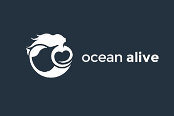 Ocean education and community engagement – Ocean Alive
