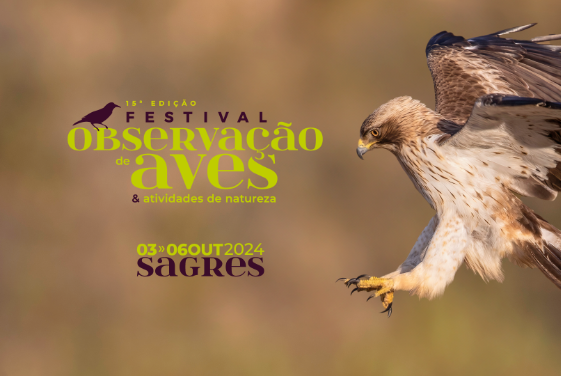 Festival Birdwatching and nature activities 