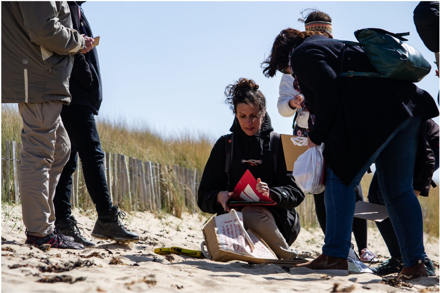 Citizen scientists from the Observatoire Citoyen du Littoral Morbihannais conducting fieldwork to monitor dune vegetation, following simplified ecological protocols that contribute to long-term coastal ecosystem datasets.