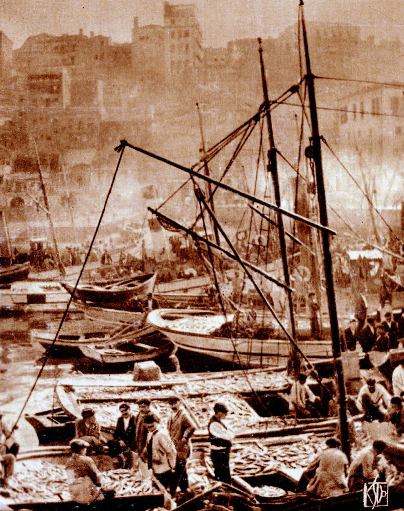 Landing of sardines at the port of Vigo, illustrating the enduring role of traditional fishing practices and their connection to Galicia’s maritime heritage and collective memory.