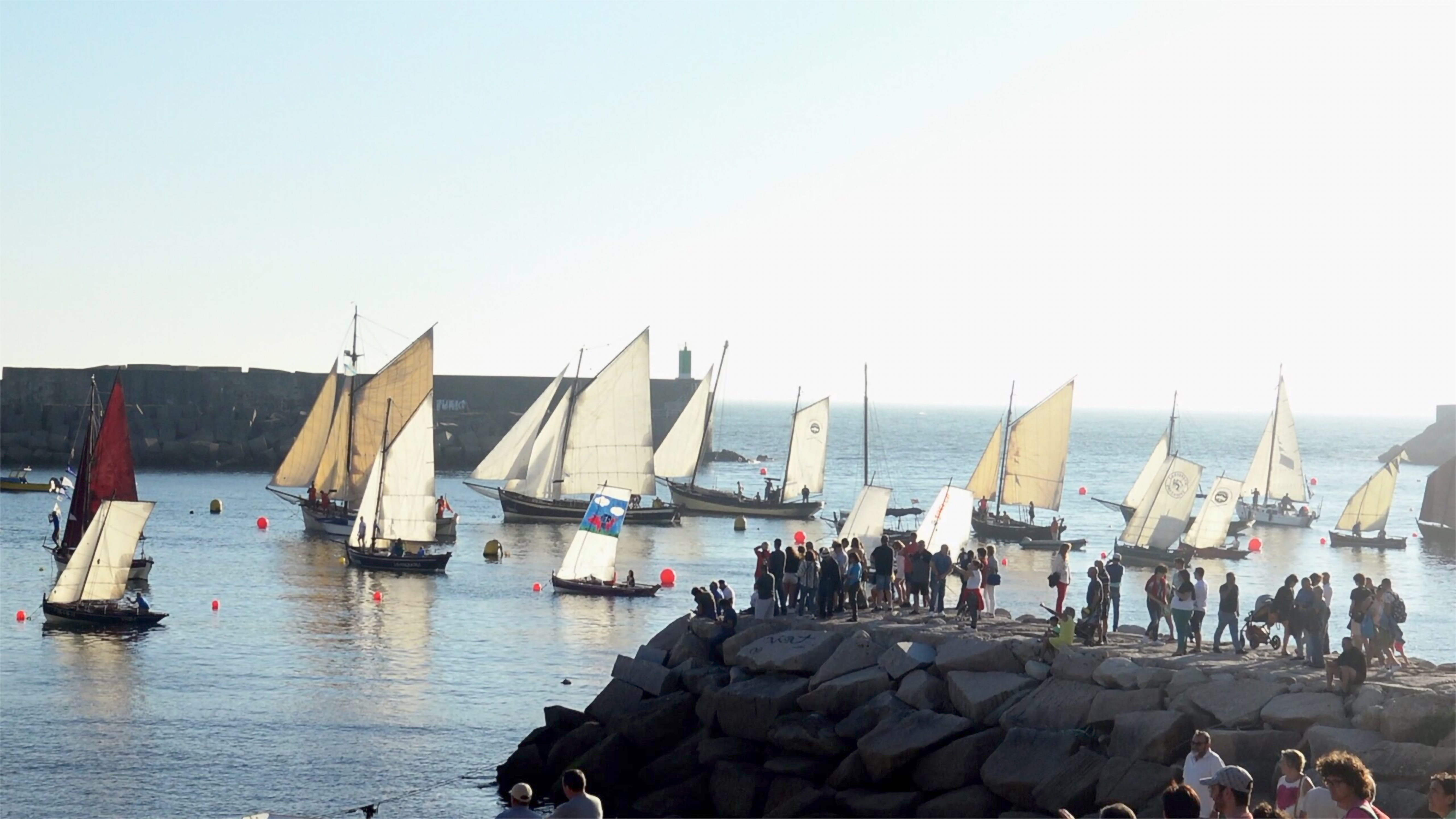 Traditional Galician boats gathered during an edition of the Encontro de Embarcacións Tradicionais de Galicia, showcasing craftsmanship, sustainable sailing techniques, and the revival of local maritime culture. Photo CulturMar.