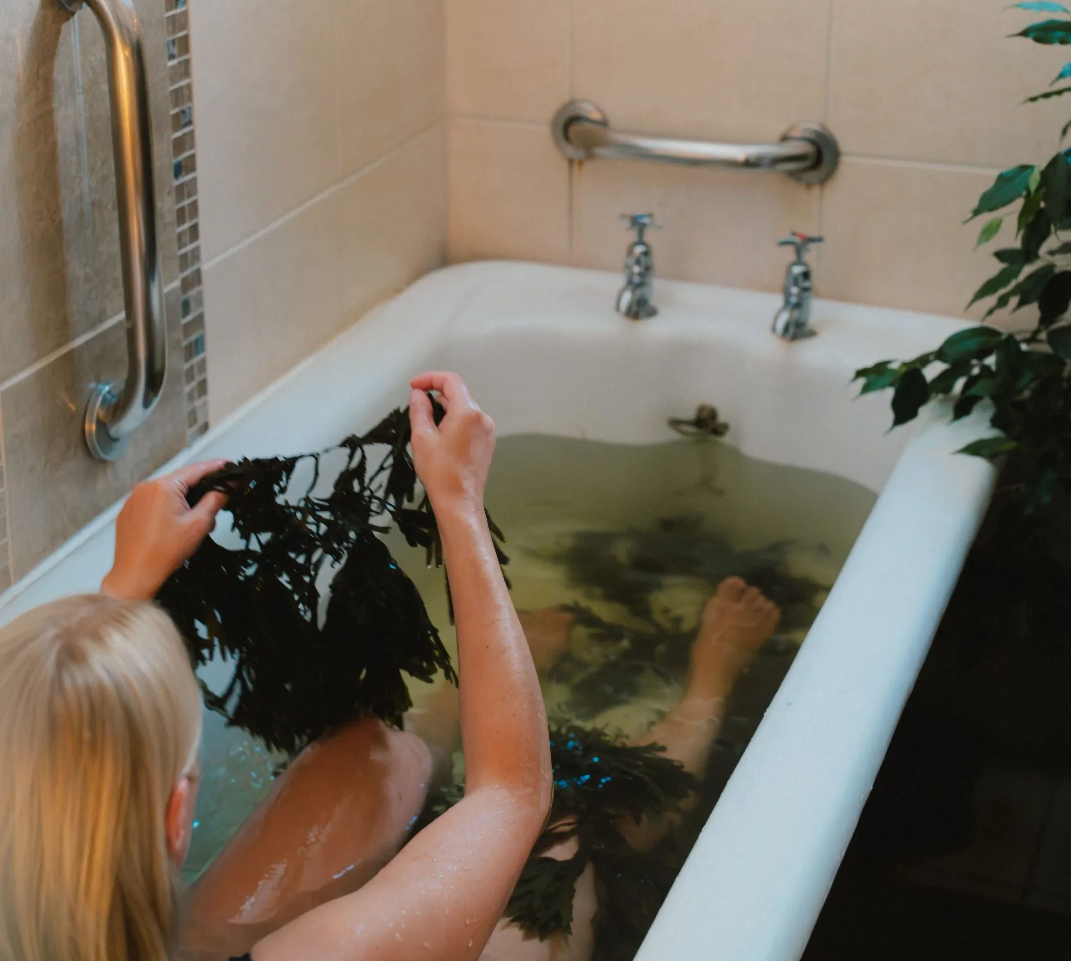 The seaweed is soaked in warmed seawater from the high tide, providing minerals such as iodine, potassium, and magnesium, which are used in therapeutic baths at Sólás na Mara. Photo Sólás na Mara.