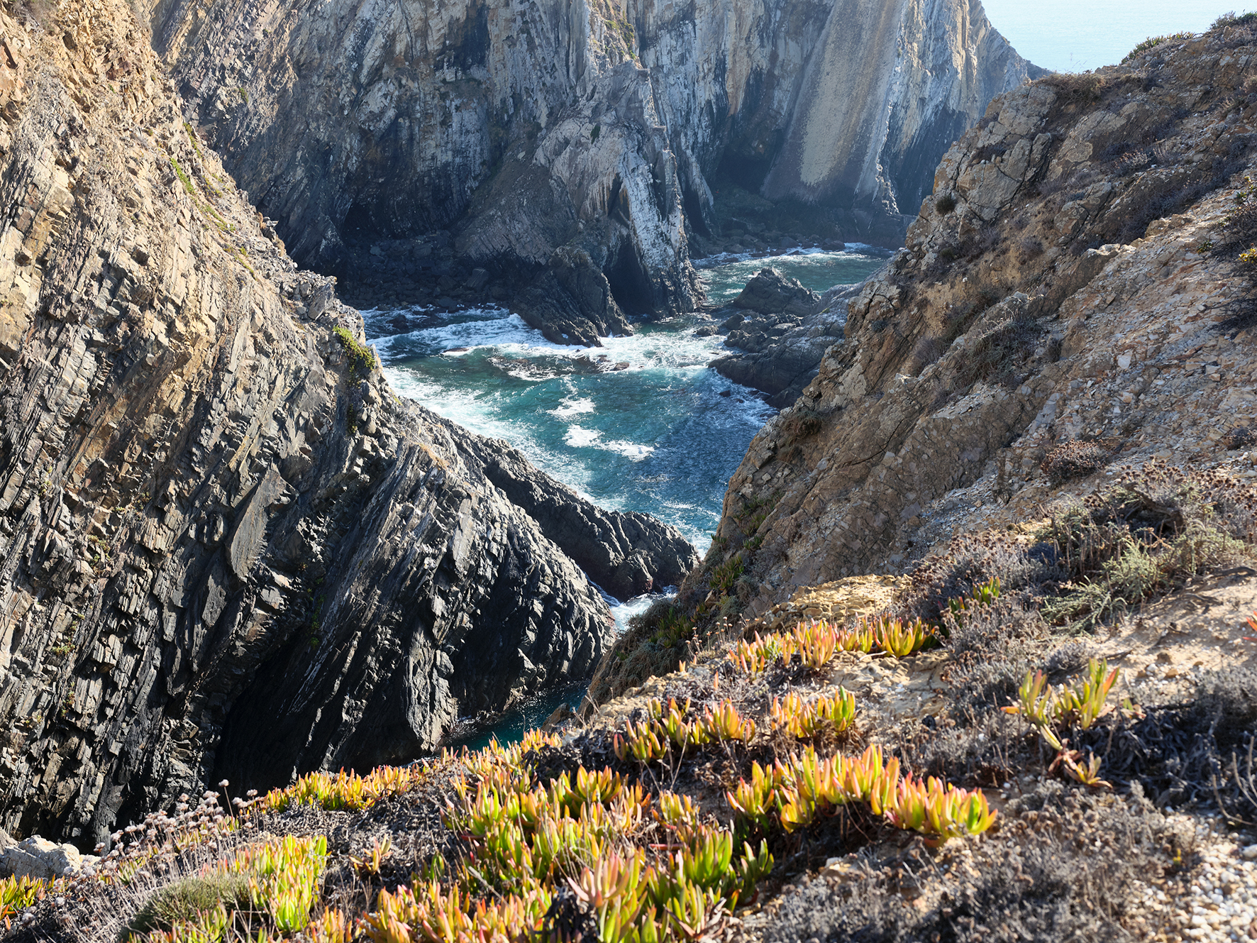 A section of the protected coastline along the Rota dos Pescadores, shaped by waves and wind, demonstrating minimal human intervention in line with the ‘Do Nothing’ strategy. Photo Nuno Cera, 2025.